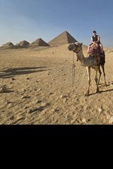 Foto pengguna Eliza2022