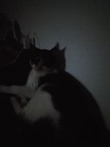 Zdjęcie użytkownika joannawojciechow61