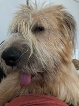 Foto pengguna Benedylbert