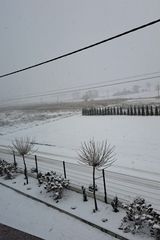 Foto pengguna stalkipl2005