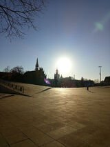 Benutzerfoto MarcinWoloszyn1