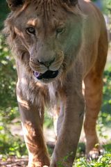 Zdjęcie użytkownika pponiatowski61