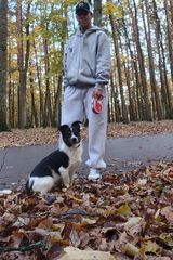 Foto pengguna rafallopaciuk80