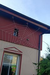 Zdjęcie użytkownika deviljania13