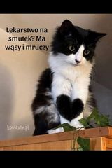 Fotka uživatele janjanusz861