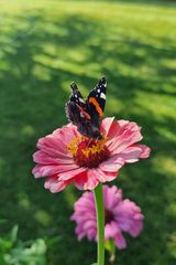 Foto pengguna karolPl007