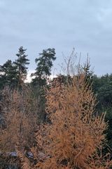 Foto pengguna pawelek2606