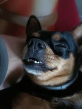 Foto pengguna danielkoziel79