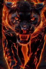 Foto pengguna damianwiktorjaro81