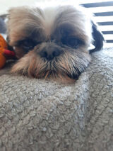 Zdjęcie użytkownika Dom732