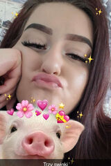 Zdjęcie użytkownikaProhibicja