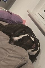 Foto pengguna Niknadi2008