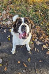 Benutzerfoto clipsbest09