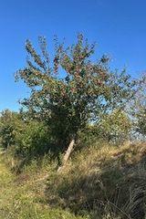 Photos Szlachtapolska1973