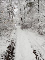 Zdjęcie użytkownika miroslawrarata598