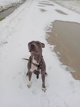 Zdjęcie użytkownika Gabrieloo94