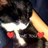 Zdjęcie użytkownika ameliapoltorak25