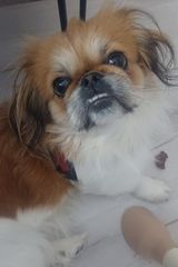 Foto pengguna konradjakubiec388