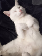 Фото користувача Maciejjjjjjjjjj