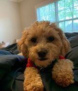 Zdjęcie użytkownika Jackson458