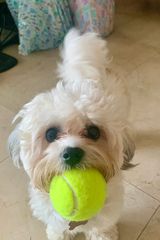 Фотография пользователя sofiaerikkson