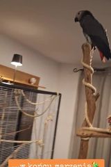 Zdjęcie użytkownika DanielL83