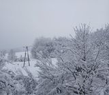 Foto pengguna Tomcio458