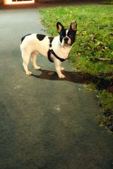 Foto pengguna luckey40