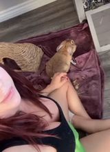 Foto pengguna josephinecatour59