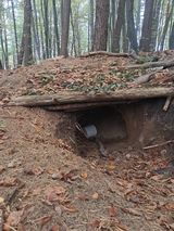 Zdjęcie użytkownika stenkamarek346