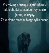 Zdjęcie użytkownika mariuszek742