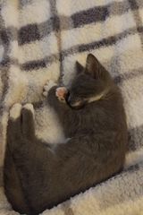 Foto pengguna Dawidkka