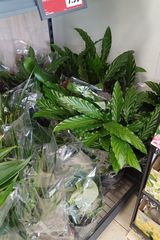 Zdjęcie użytkownika PAWEL180017