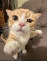 Foto pengguna danielgumieniak12