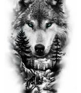 Benutzerfoto Lakiernik12