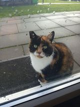 Foto pengguna Ulaaaaaaa