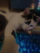 Foto pengguna vKubuss