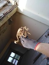 Foto pengguna KosmitaJ