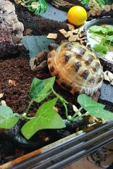 Foto pengguna jajakub36