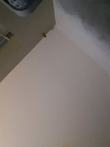 Zdjęcie użytkownika Daniotopek