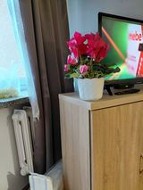 Zdjęcie użytkownika barbaramielczare41