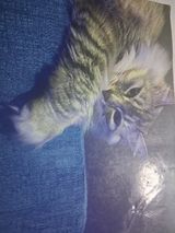 Foto pengguna dariusztrz2206