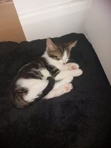 Zdjęcie użytkownika mati9292x