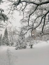 Benutzerfoto jaworskajolanta6