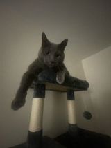 Zdjęcie użytkownika Tomek1516