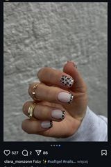 Foto pengguna Aneta009