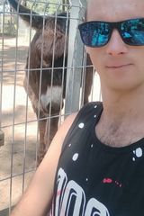 Foto pengguna auto123456wppl