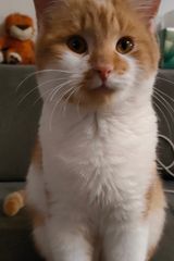 Foto pengguna MarcinLeon