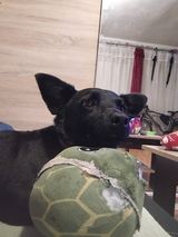 Foto pengguna szklarczyk12