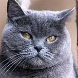 Фотография пользователя Dawcio5454